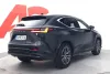 Lexus NX 450h+ AWD Executive - Uusi auto heti toimitukseen Thumbnail 5